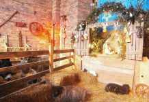 Szopka z inwentarzem