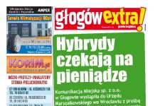 GłogówExtra! 26 thumbnail of 26 DGL internet