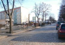 Więcej zieleni w Głogowie