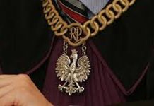 Kara za znęcanie się nad psem