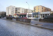 Wycinka przy al. Wolności