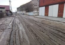 Błotna droga w Bukwicy