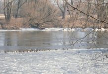W ciepłe dni czas na połów