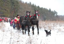 Konno po Wzgórzach Dalkowskich