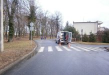 Muszla jak kosz na śmieci