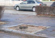 Wycinka zgodna z prawem