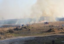 Za wypalanie traw kara grzywny do 5 tys. zł