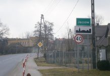 Szczury chodzą po dachu