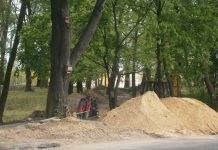 Ścieżka rowerowa przez park