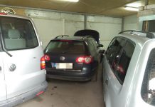 Dziupla w Powiecie Głogowskim