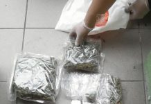 Uprawiał marihuanę w mieszkaniu