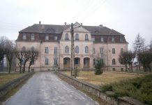 Nowy dach na pałacu