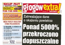 GłogówExtra! 48 thumbnail of 48 DGL internet