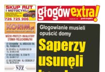 GłogówExtra! 49 thumbnail of 49 DGL internet