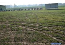 Zarekwirowano auto na poczet przyszłych kar