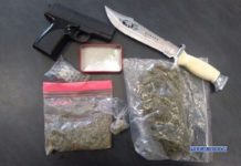 Wyszkolony pies znalazł narkotyki w aucie