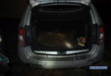 Zatrzymania na terenie huty