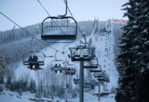 Czescy policjanci proszą świadków o kontakt