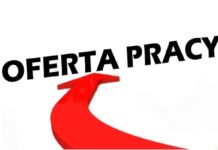 Konkurs na dyrektora MOK