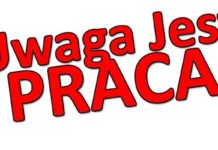 MOK poszukuje pracownika