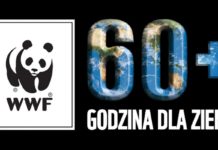 Iluminacja wieży ratuszowej i ruin kościoła zostanie wyłączona