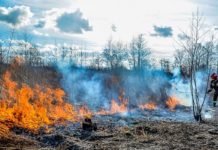 Strażacy i leśnicy apelują o rozwagę. Ogniska tylko pod kontrolą