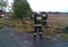 Strażacy usuwali skutki zmiennej pogody. Wiatr uszkodził sygnalizację świetlną