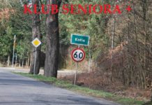 Klub Seniora+ w Gminie Kotla. Aktywizacja zawodowa mieszkańców