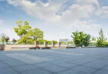 Zielona alejka na polkowickim Rynku