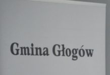 Koronawirus w Gminie Wiejskiej Głogów