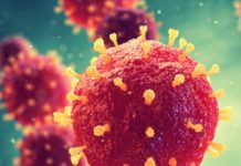 Sanepid Głogów.  Zdiagnozowane przypadki – kobieta i mężczyzna