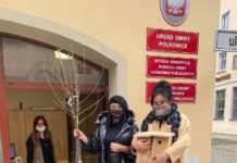 Światowy Dzień Drzewa w Polkowicach