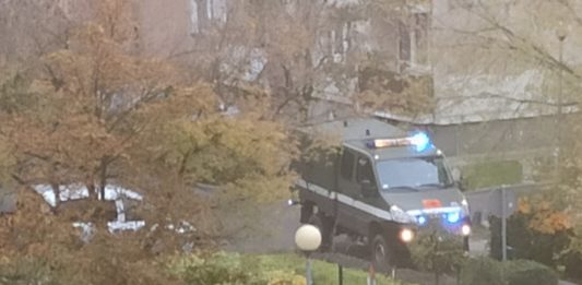 Skorupa z czasów II wojny światowej