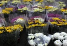 Gmina wspiera drobnych przedsiębiorców