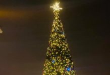 W sercu miasta stanęła choinka