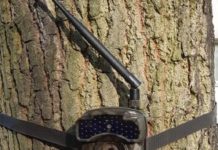 Sukces straży miejskiej