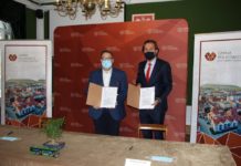 Zielona gmina Polkowice