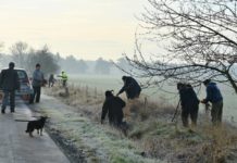 Wielka akcja sadzenia drzew