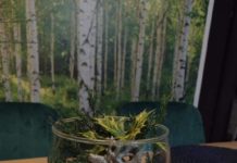 Świąteczne stroiki Jędrzycho-WIANEK