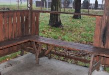 W Kotli grasuje wandal