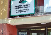 Urząd Pracy wspiera pracodawców