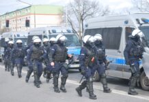 Policja zatrzymała sześć osób