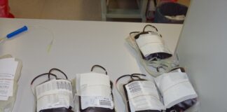 KGHM oddaje krew – akcja Cudownej pomocy na 60-lecie miedziowego giganta