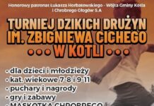 Turniej Dzikich Drużyn