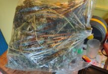 1,5 kg narkotyków w altanie i piwnicy