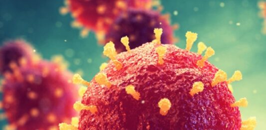 W powiecie głogowskim bez zakażeń