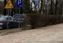 Zakaz parkowania przy ul. Wita Stwosza