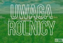 Wybory do Izb Rolniczych