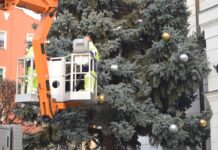 Choinka przed Ratuszem