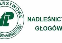Nadleśnictwo Głogów skupuje grunty pod zalesienie